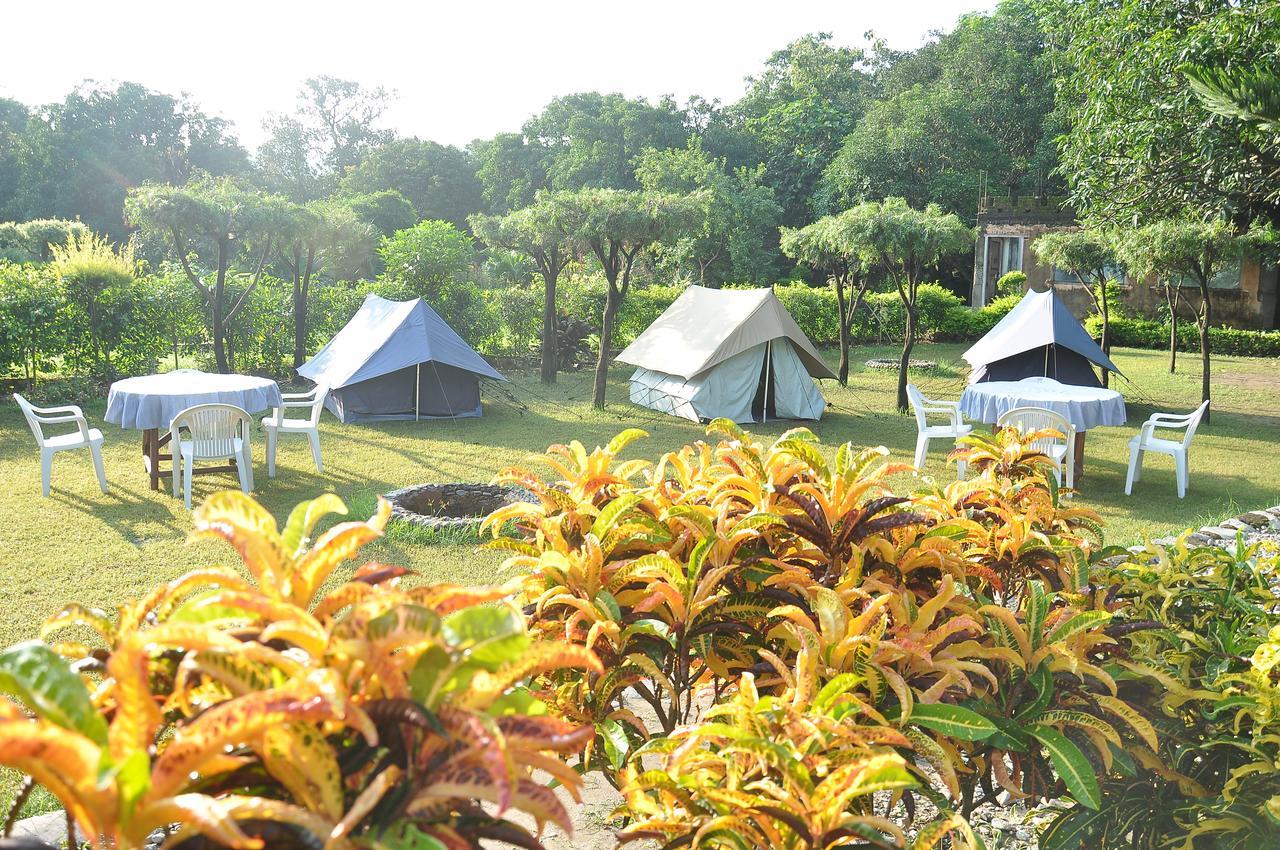 Vanya River Lodge Dhikuli Luaran gambar